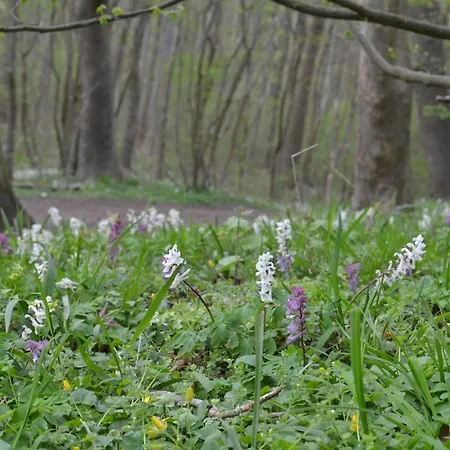 Holbaek. Med Fjordudsigt, Og 5 Min. Til Bymidten Апартаменты Хольбек