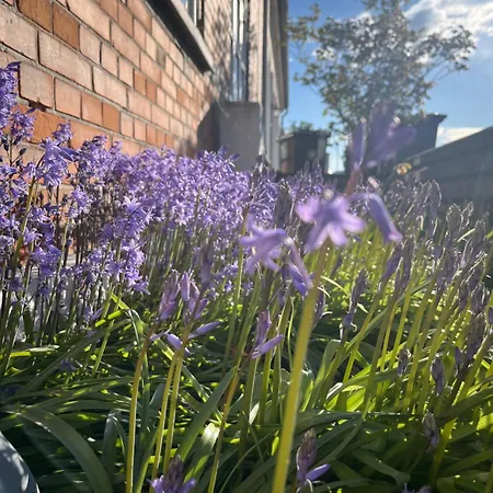 Lägenhet Holbaek. Med Fjordudsigt, Og 5 Min. Til Bymidten Holbæk